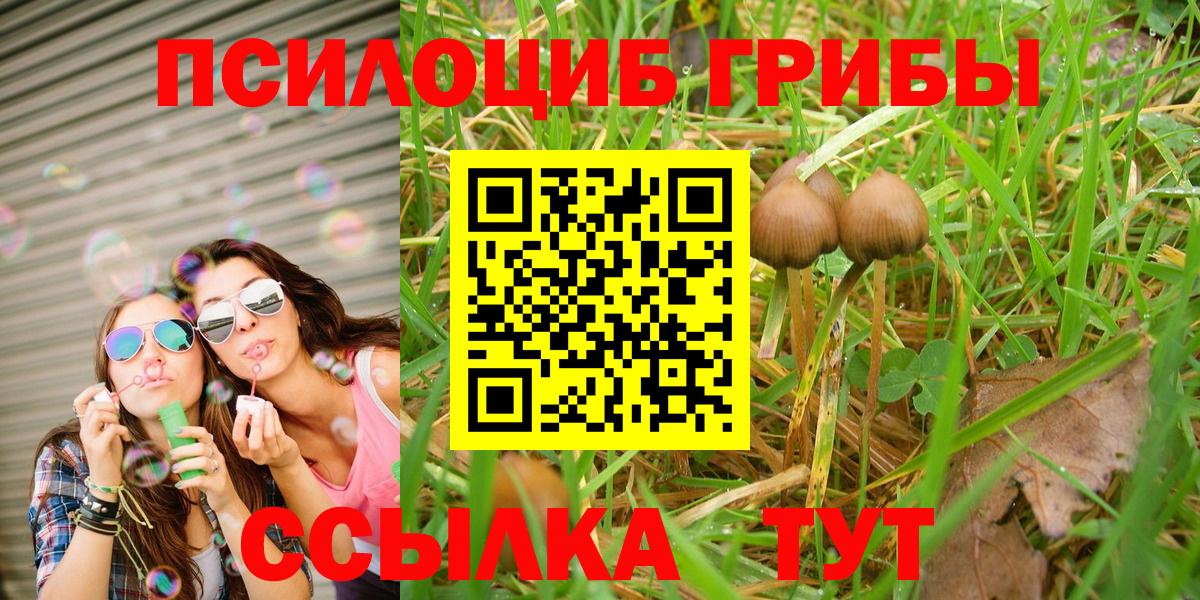 Псилоцибиновые грибы мухоморы  Вход с VPN  Галлюциногенные грибы Psilocybe  Усть-Илимск 
