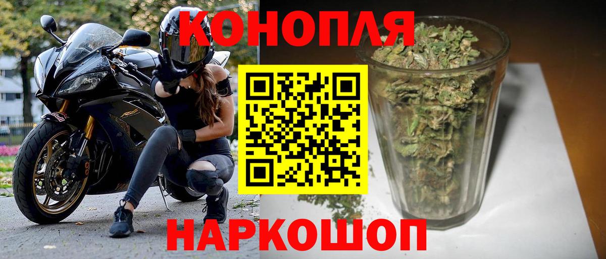 Бошки марихуана конопля  Шишки марихуана тримм  Усть-Илимск  Вход с VPN  Бошки марихуана White Widow 